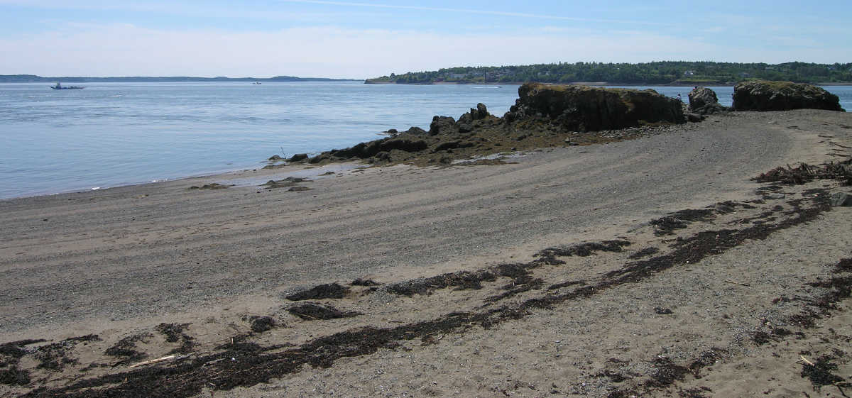 Seal Cove Beach