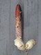 Stinkhorns