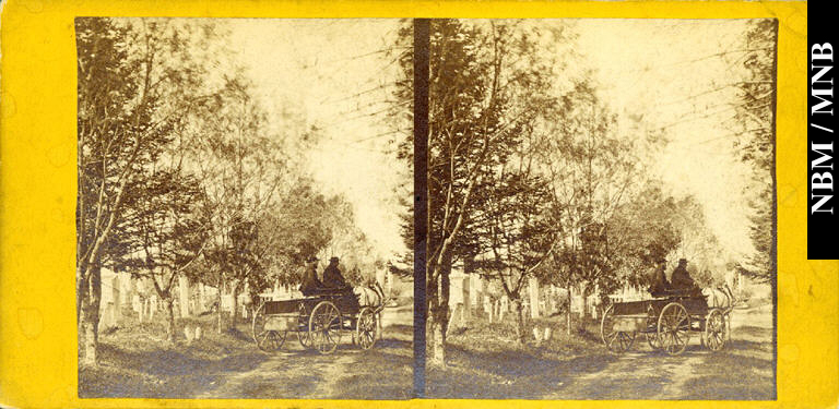 Horse & Wagon, Roman Catholic Cemetery, Saint John, New Brunswick