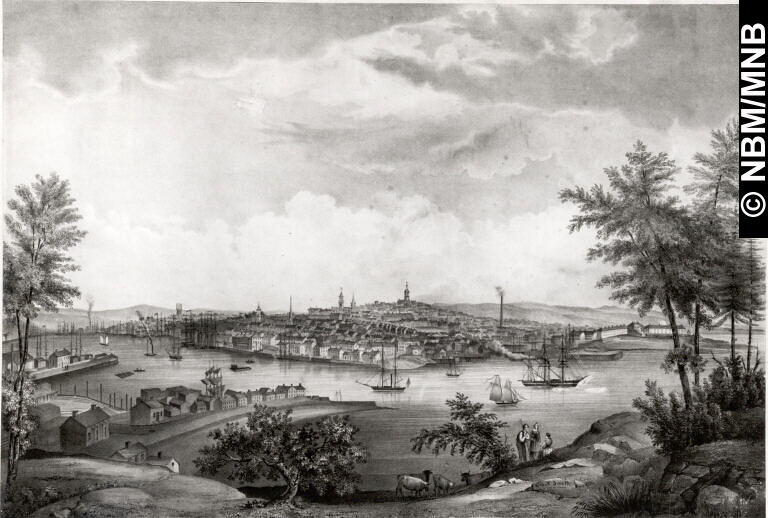 View of the City of St. John, New Brunswick. From the Rock in Rear of Sandpoint, Carleton